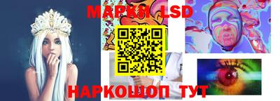 МДПВ Донецк