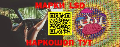 крисы Донской