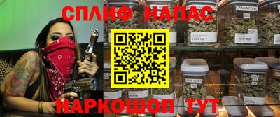 МДПВ Донецк