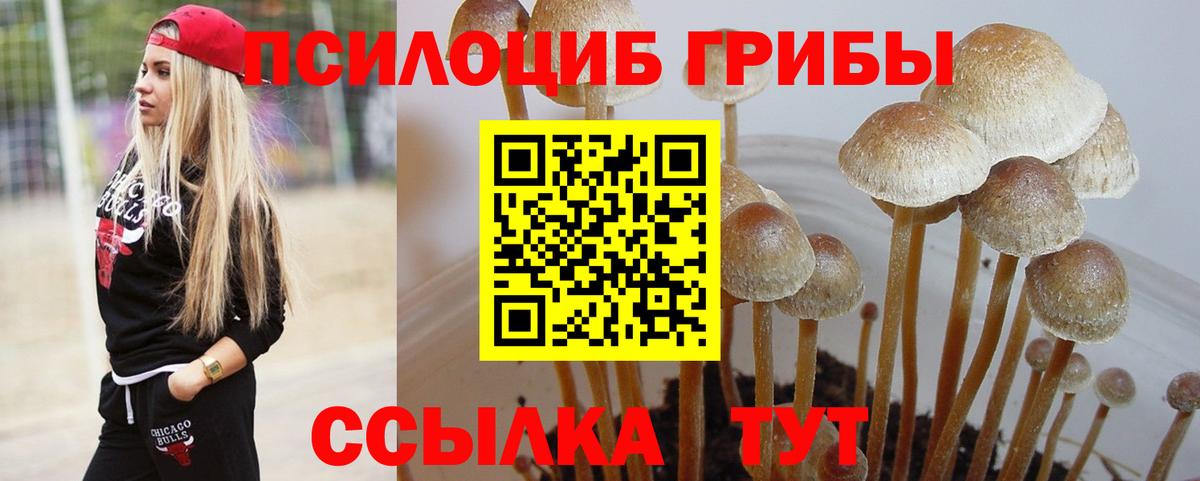 Псилоцибиновые грибы Psilocybine cubensis  Галлюциногенные грибы прущие грибы  хочу   Ливны  Вход с VPN 