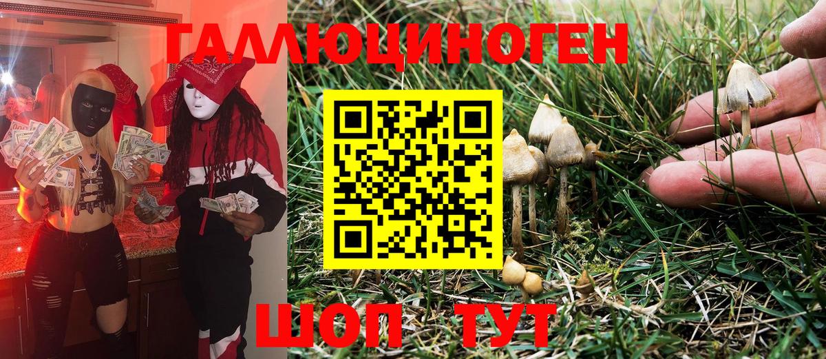 Галлюциногенные грибы Magic Shrooms Ливны